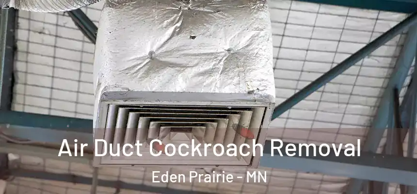 Air Duct Cockroach Removal Eden Prairie - MN