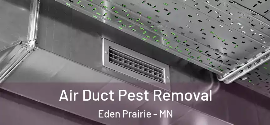 Air Duct Pest Removal Eden Prairie - MN