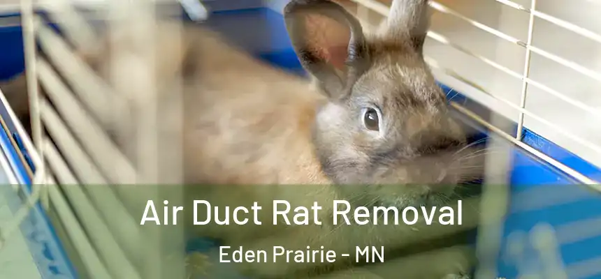  Air Duct Rat Removal Eden Prairie - MN