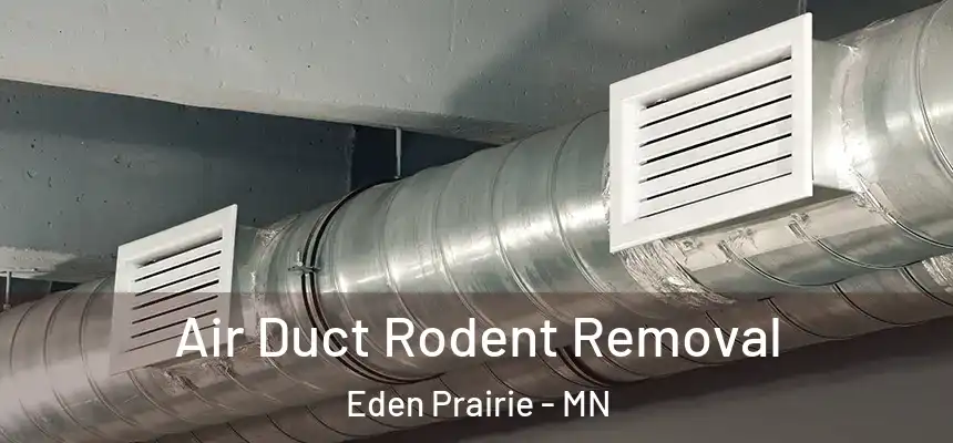 Air Duct Rodent Removal Eden Prairie - MN