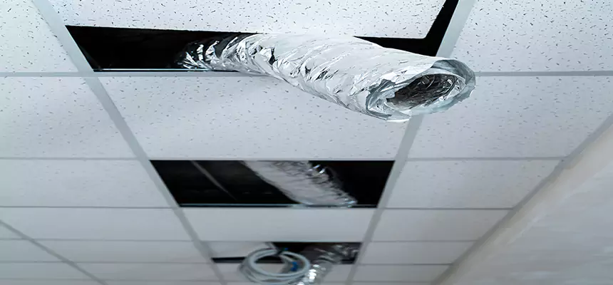 Affordable HVAC Sanitizing After Pest Removal in Eden Prairie