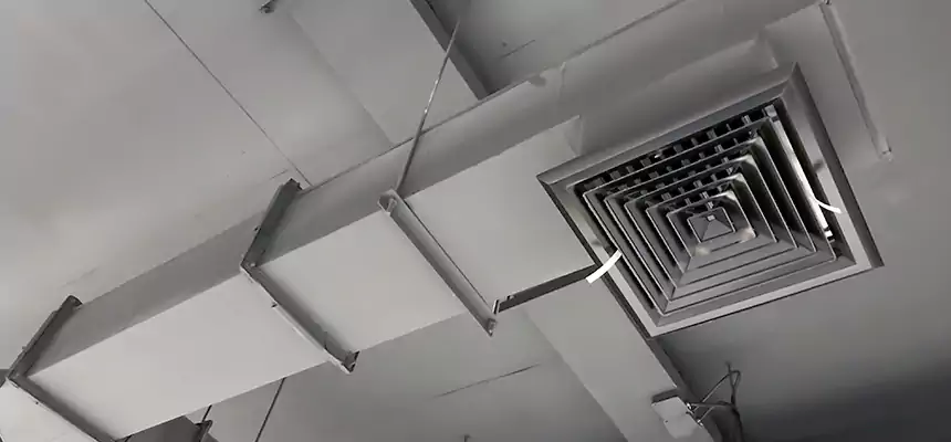 Our Rodent Droppings In Vents Services in Eden Prairie, MN