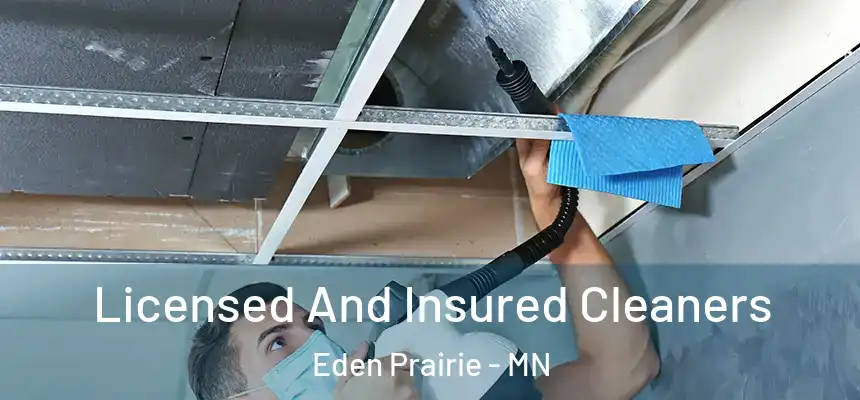 Licensed And Insured Cleaners Eden Prairie - MN