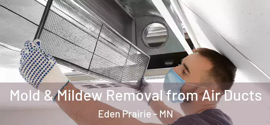 Mold & Mildew Removal from Air Ducts Eden Prairie - MN