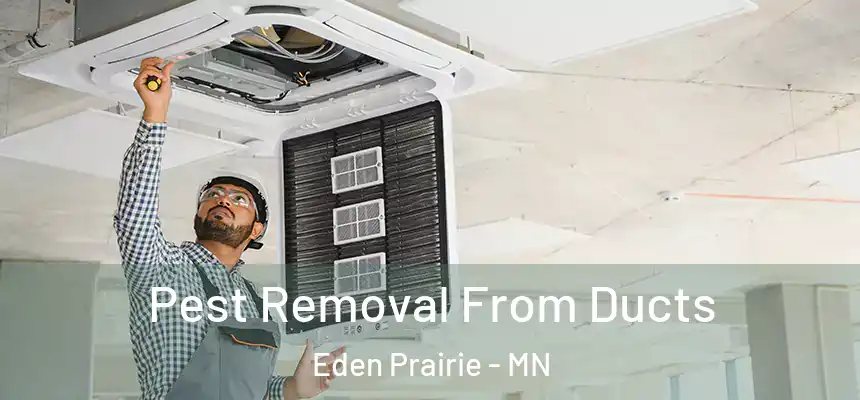 Pest Removal From Ducts Eden Prairie - MN