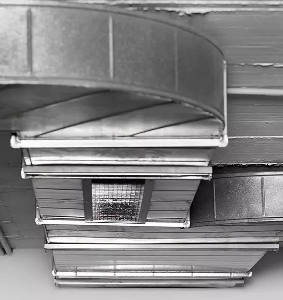 Professional Air Duct Pest Removal in Eden Prairie, MN