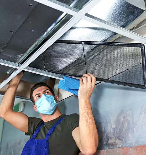 Professional Air Duct Pollen Cleaning in Eden Prairie, MN
