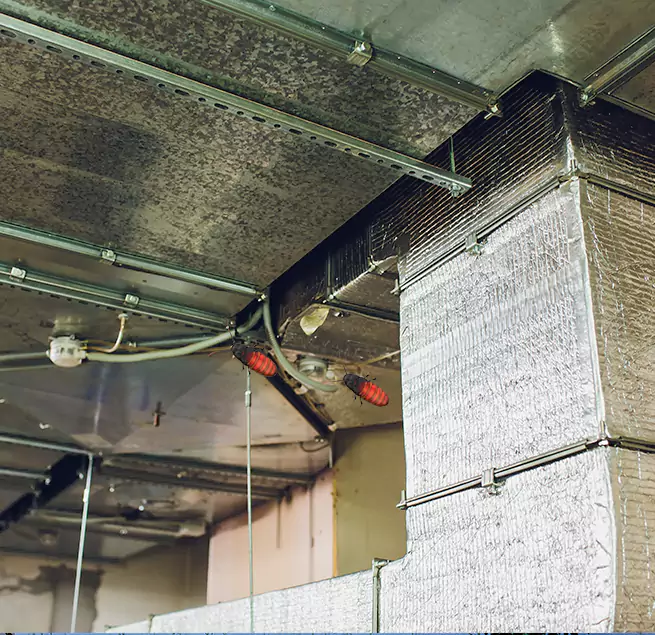 Why Homeowners & Businesses Trust Us in Eden Prairie, MN?