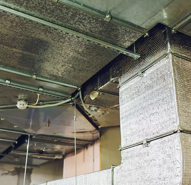 Why Homeowners & Businesses Trust Us in Eden Prairie, MN?